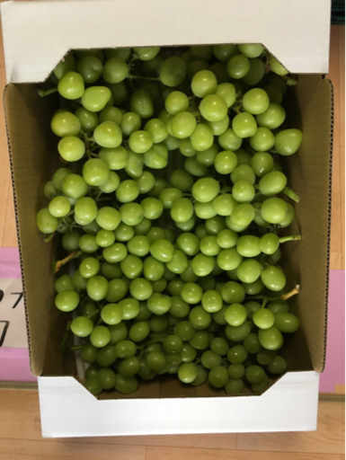 シャインマスカット　箱入り5キロ　美品　最後の1箱になります。