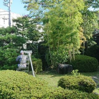 日給12,000円～15,000円　造園職人・造園の補助スタッフ募集です！の画像