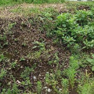 残土差し上げます。の画像