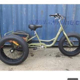マウンテンバイクトライクの画像