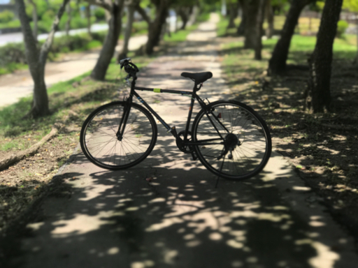 室内保管美品 自転車