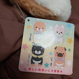 ぬいぐるみ※引き取り先決定しました。の画像