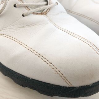 ミズノ MIZUNO ゴルフシューズ 24.5cmの画像