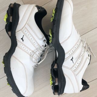 ミズノ MIZUNO ゴルフシューズ 24.5cmの画像