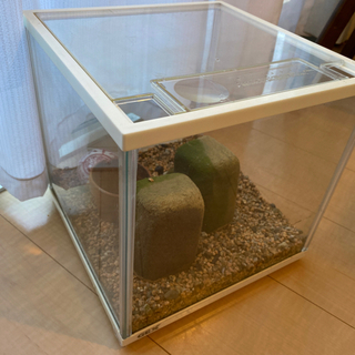 水槽　ジェックス13L キューブ