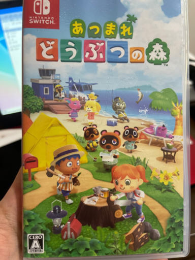 あつまれどうぶつの森ソフト