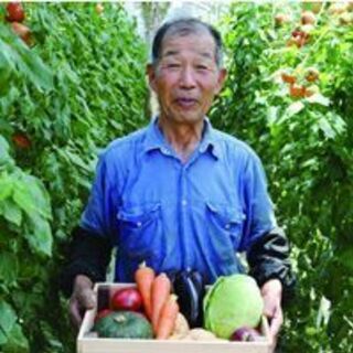 【365日まかない付き✨】都野菜賀茂 ディナー アルバイト募集‼️ 