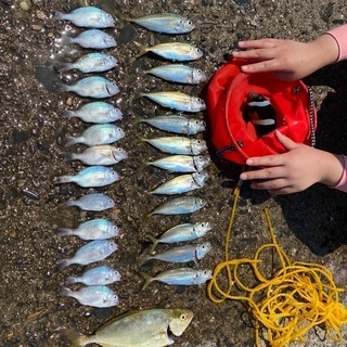小学生釣り友募集 - メンバー募集