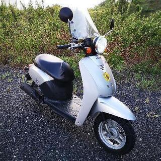 (売切)ホンダ トゥディ AF61 50cc 自賠責R6年4月