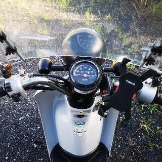 (売切)ホンダ トゥディ AF61 50cc 自賠責R6年4月の画像