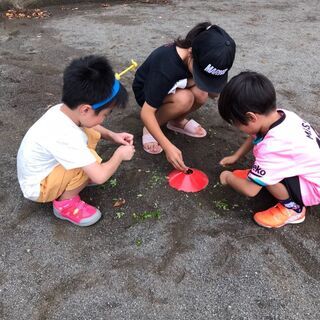 【公園でのびのびサッカー】次回/2021年8月15日（日）15時30分~17時・東京都稲城市向陽台_地域の公園利用 - メンバー募集