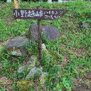 ウォーキング⛰️