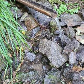 ウォーキング⛰️ − 茨城県