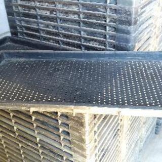 稲の育苗箱約400枚 無料の画像