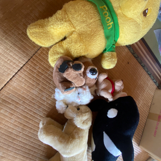 ぬいぐるみ６個　プーさん２つ、シャチ、犬、コアラ、猫