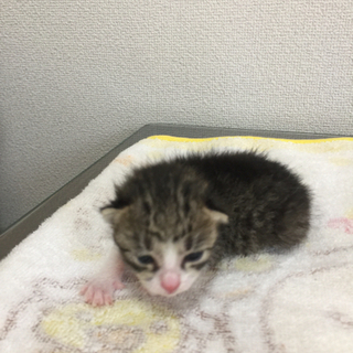 里親様が決まりました(^ ^)❗️