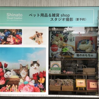 【高円寺】看板猫のいる写真スタジオ&犬猫雑貨犬猫用品販売店 シナ...