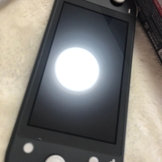Switch light➕スプラトゥーン！セットの画像