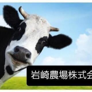 🐮 正社員募集🐮急募