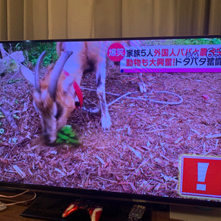 TOSHIBA55インチ液晶テレビ