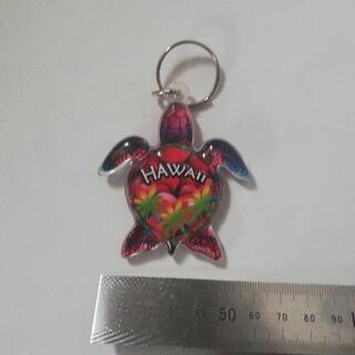 キーホルダー　イルカ＆亀　2点の画像