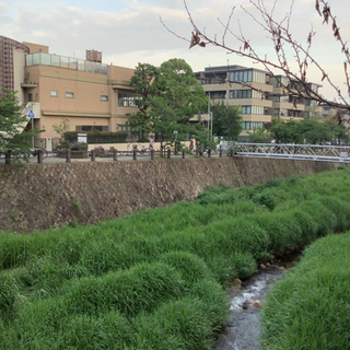 朝活　夏季集中　7:50-8:50am 毎週木曜　前日16:30...