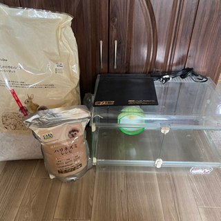 ハリネズミ飼育セット(値下げ)