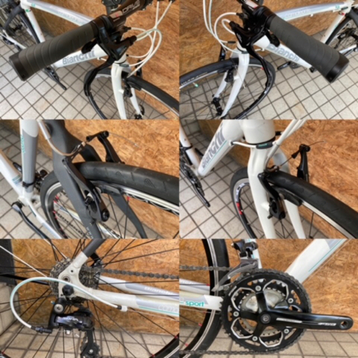 BIANCHI ビアンキ Camaleonte sport 4 カーボン バック クロスバイク
