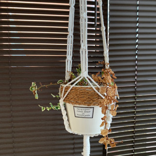 マクラメハンギングプラントの画像