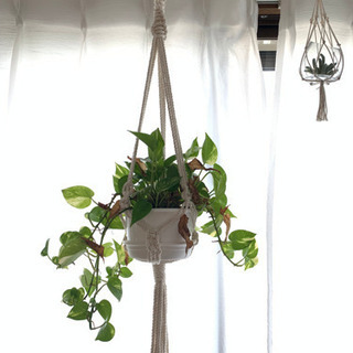 マクラメハンギングプラントの画像