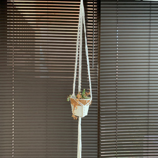 マクラメハンギングプラントの画像