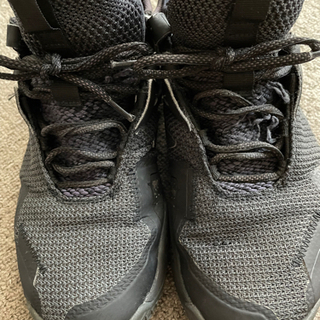 バッシュ ナイキ バスケットボールシューズ JORDAN CJ0781-002の画像