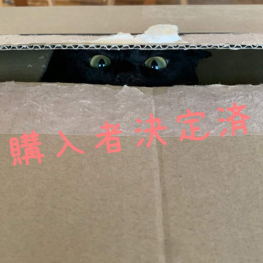 購入者決定　連絡用に残してあります。