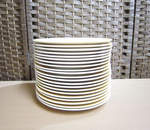 ノリタケ グランドセラム プレート 21枚 セット 直径20㎝ Noritake GRANDCERAM 皿 唐辛子柄 食器 札幌市 白石区 東札幌