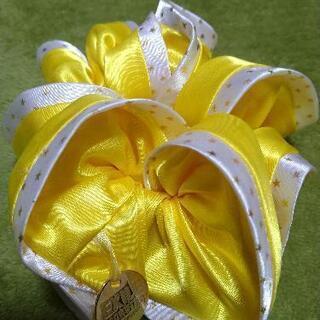 EXILE　ライブパンフレットと大きいシュシュの画像