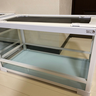 取り引き中　パンテオン6030①爬虫類 ガラスゲージ 