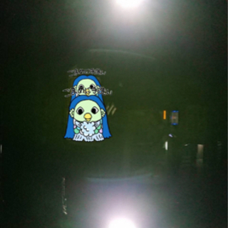 ♦︎LED爆光バックライト♦︎の画像