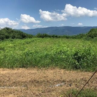 和歌山で援農ボランティア！雄大な景色を望みながら、土に緑に、触れてみませんか？ ～橋本市　“幻のはたごんぼ”　ごぼうの草引き作業～ - ボランティア