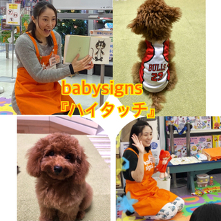 ［所沢上安松・秋津駅］8月21日(土)センサリーバッグ作りとベビ...