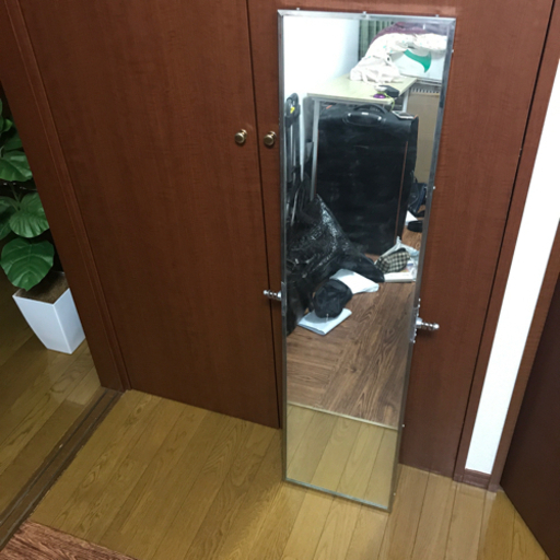 姿見鏡(縦120cm 横30cm 厚さ2.5cm)