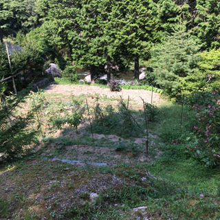 【注目物件！】豊田市 香嵐渓から車5分　足助田舎の古屋・畑・田・山林(渓流あり)  - 土地販売/土地売買
