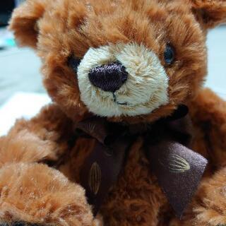 クマのぬいぐるみ