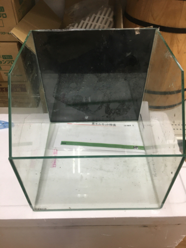 オールガラス水槽