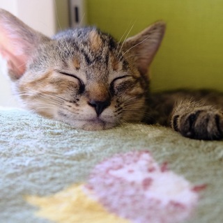 なぎさ♡家族ができました