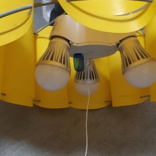 室内照明　2つ　の画像