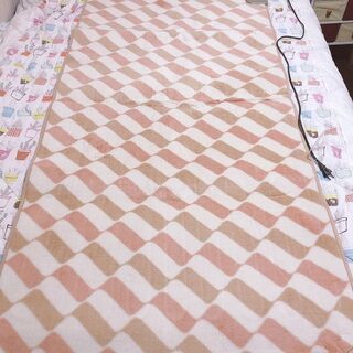 【本日限定】１人用ホットカーペット（明日中に手渡し、大阪府＆近隣...