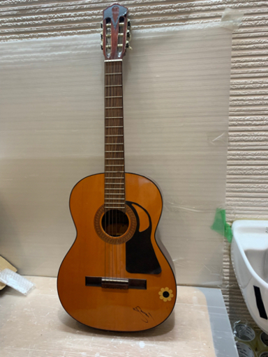 その他 NewLight GUITAR G60