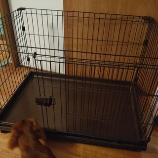 ペットゲージ 小型犬から中型犬まで 