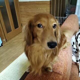 募集多数に付き中断致します。