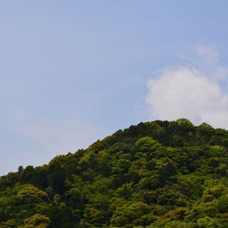 摩耶山　体験ハイキング